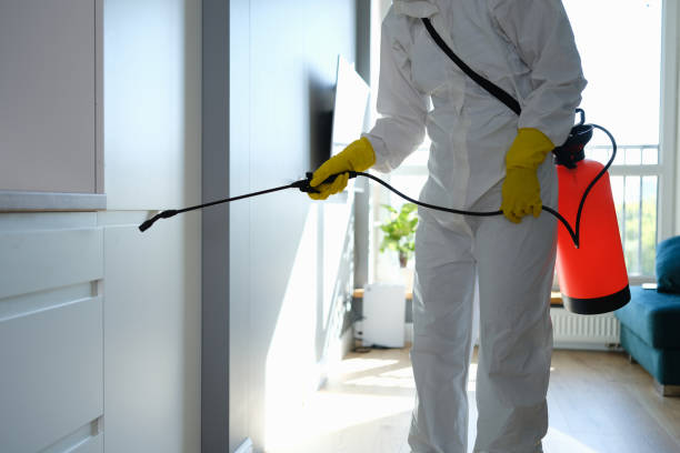 Best Residential Mold Remediation in Lmerton, PA